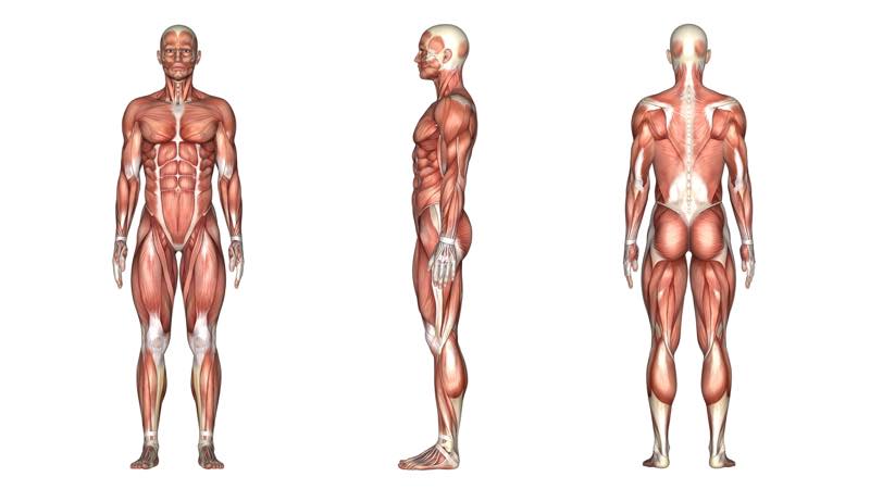 ホメオパシー 効果ない 感情 人間の身体