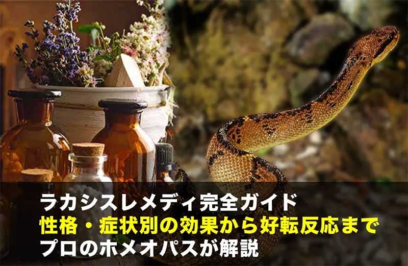 ホメオパシーラカシスレメディーの原料となるヘビの写真